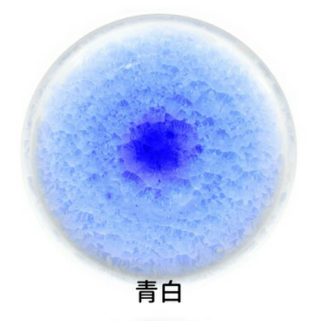 kyo yaki flower crystal medium round flat plate kyo yaki flower crystal medium round flat plate