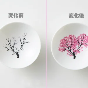 thermochromic sake cup “sakura” (color changes with cool)