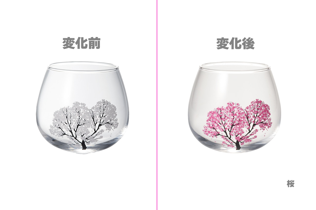 thermochromic wobbly glass “sakura” (color changes with cool) thermochromic wobbly glass “sakura” (color changes with cool)