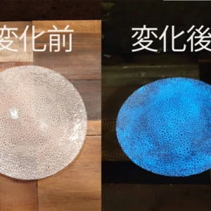 luminous shine in dark large plate