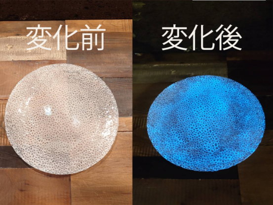 luminous shine in dark large plate luminous shine in dark large plate
