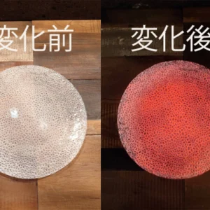 luminous shine in dark large plate