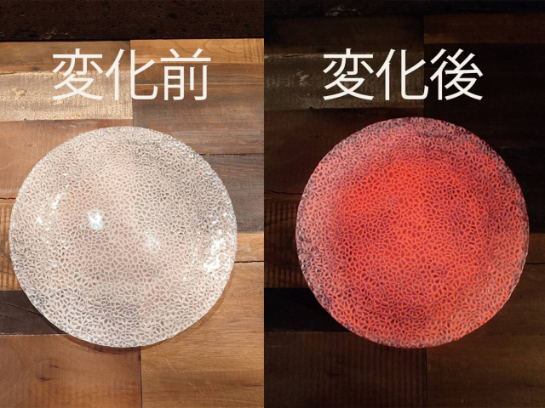 luminous shine in dark large plate luminous shine in dark large plate