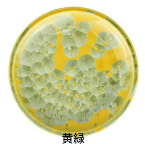 kyo yaki flower crystal medium round flat plate kyo yaki flower crystal medium round flat plate
