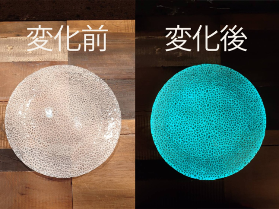luminous shine in dark large plate luminous shine in dark large plate