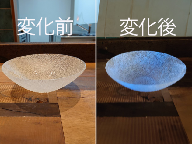 luminous shine in dark large plate luminous shine in dark large plate