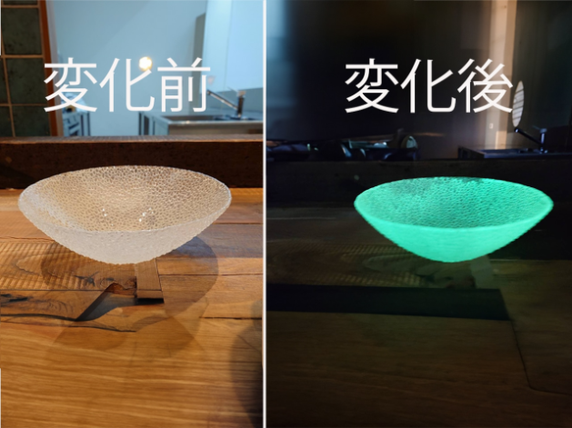 luminous shine in dark large plate luminous shine in dark large plate