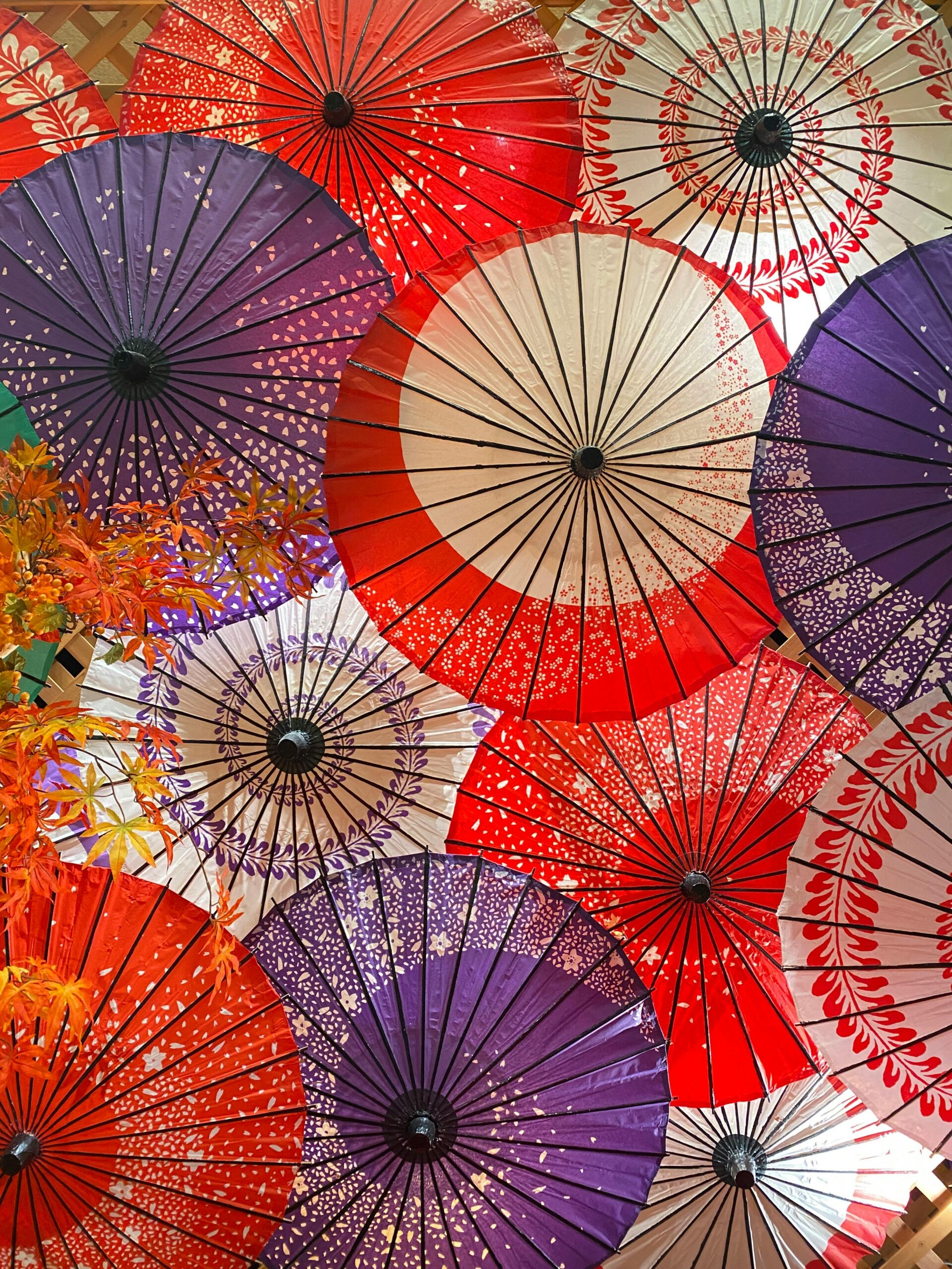 Vibrant display of traditional Japanese paper umbrellas in various colors and patterns.